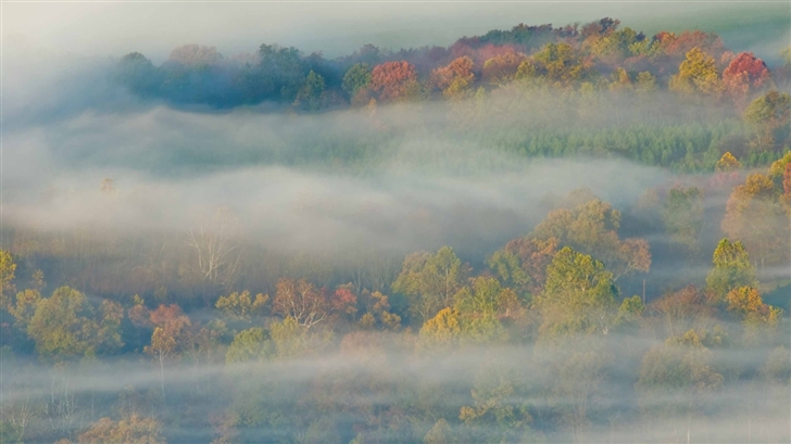 Autumn Mist Mac Wallpaper