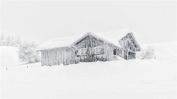 Snowfall Scene Mac Wallpaper