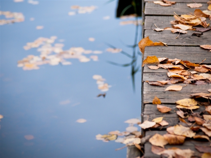 Autumn Leaves On Wooden Bridge Mac Wallpaper