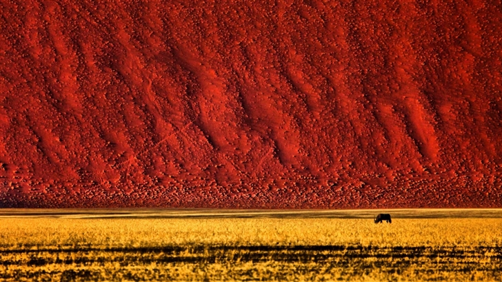 Namibian Landscape Photography Mac Wallpaper