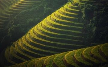 Beautiful Rice Terraces Landscape All Mac wallpaper