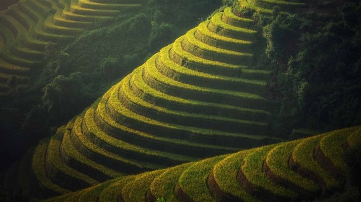 Beautiful Rice Terraces Landscape Mac Wallpaper