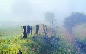 Morning Fog In The Field All Mac wallpaper