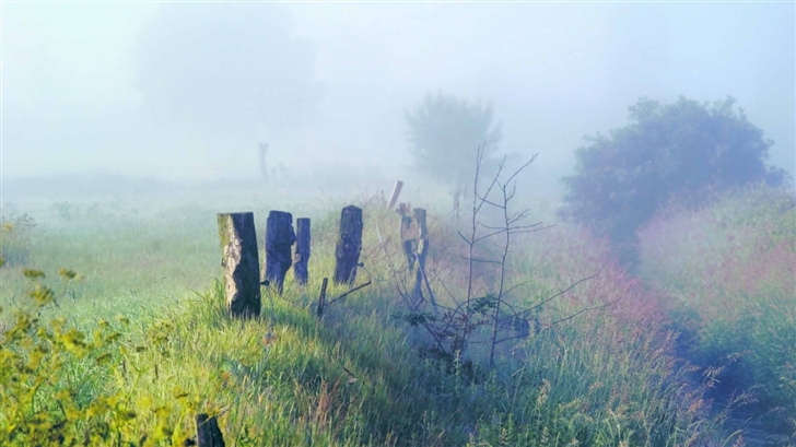Morning Fog In The Field Mac Wallpaper