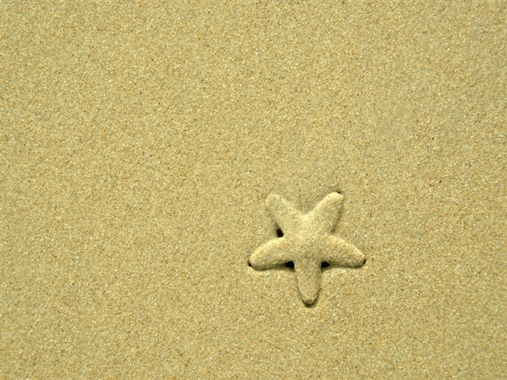 Starfish  Mac Wallpaper