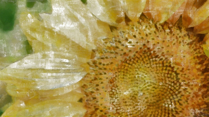 Abstract Sunflower  Mac Wallpaper
