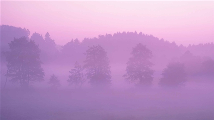Forest Mist Mac Wallpaper