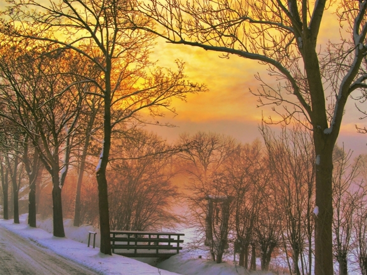 Golden winter sunset Mac Wallpaper