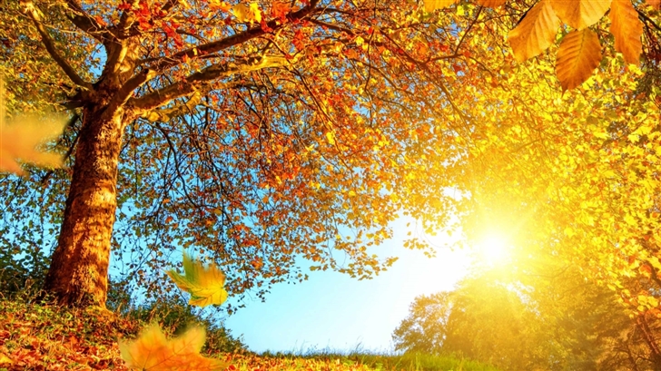 Beautiful Autumn Landscape Mac Wallpaper