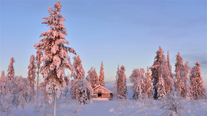 Wooden House In Winter Forest Mac Wallpaper