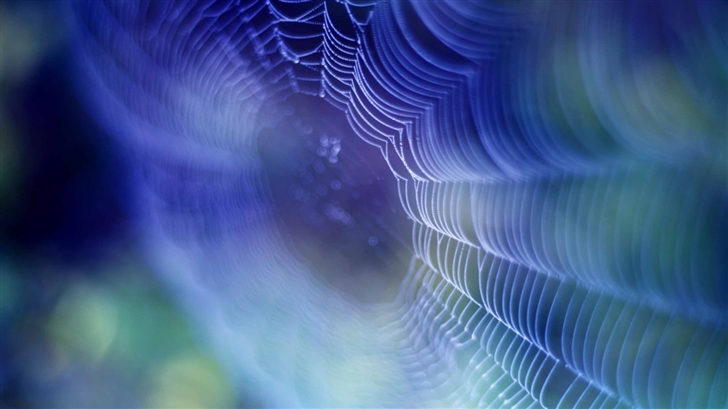 Spiderweb Background Mac Wallpaper