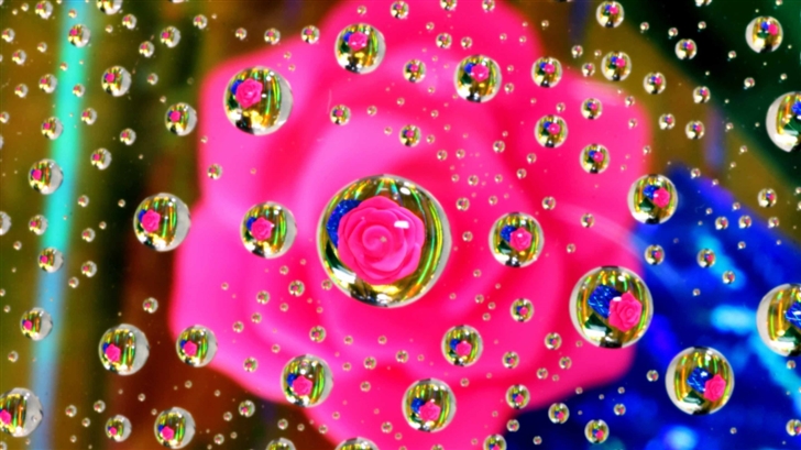 Pink Flower Water Drop Mac Wallpaper