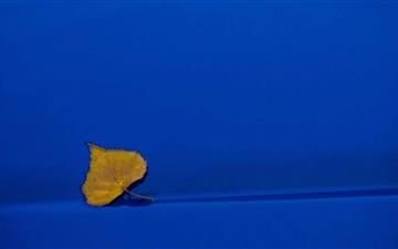Yellow Leaf On Blue Background All Mac wallpaper