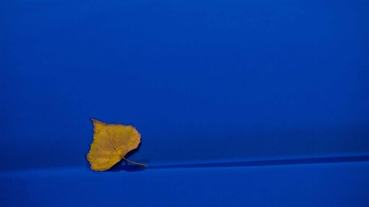 Yellow Leaf On Blue Background Mac Wallpaper