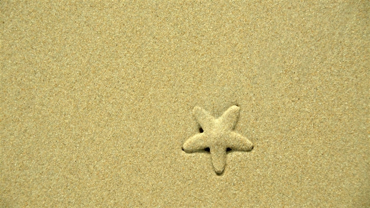 The Starfish Mac Wallpaper