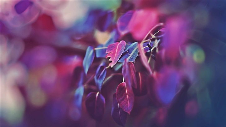 Purple Leaves Bokeh Mac Wallpaper