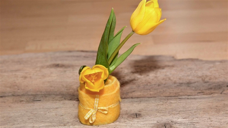 Yellow Tulips Mac Wallpaper
