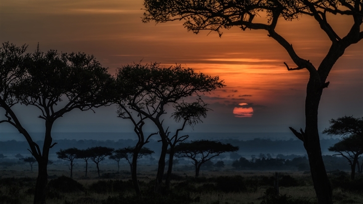 Sunrise In Masai Mara Kenya Africa Mac Wallpaper