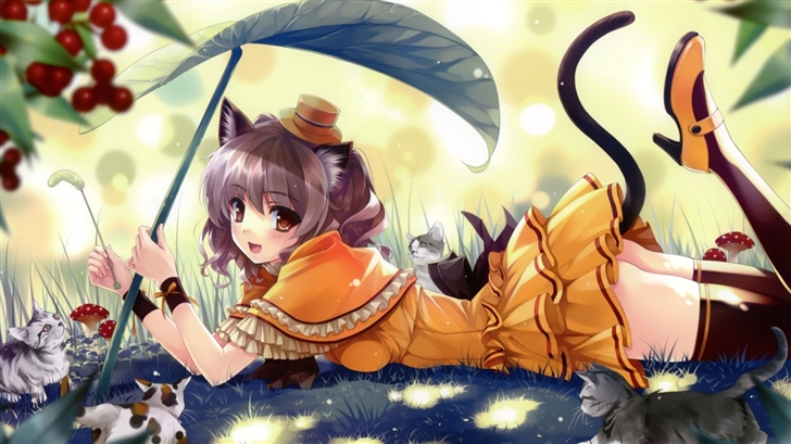 Anime Kittens Mac Wallpaper