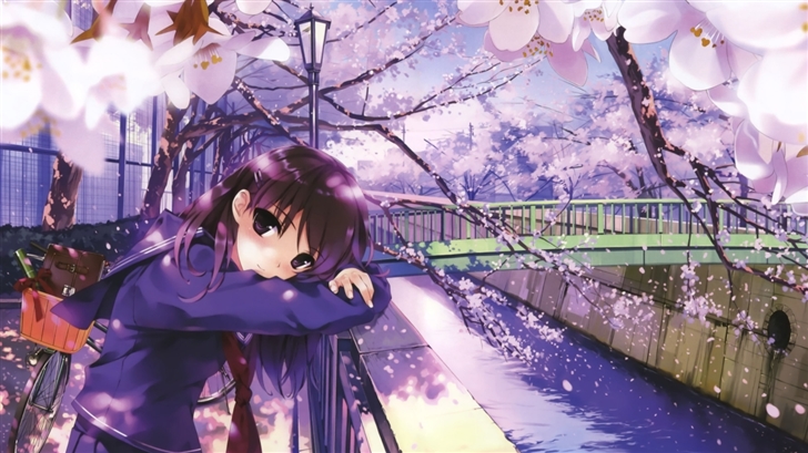 Sakura Spring Mac Wallpaper