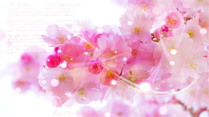 Pink Blossom Flowers Mac Wallpaper