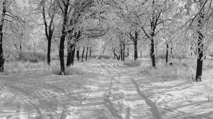 Trails In The Snow Winter Mac Wallpaper