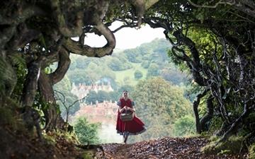 Into The Woods Disney All Mac wallpaper
