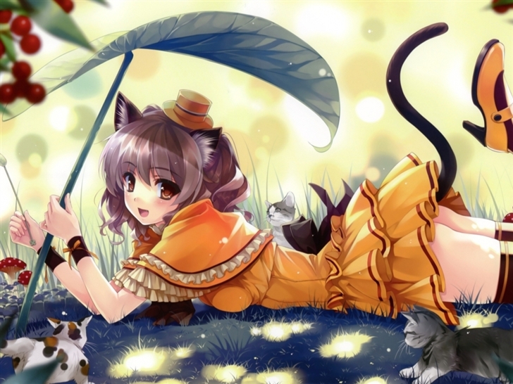 Anime Kittens Mac Wallpaper