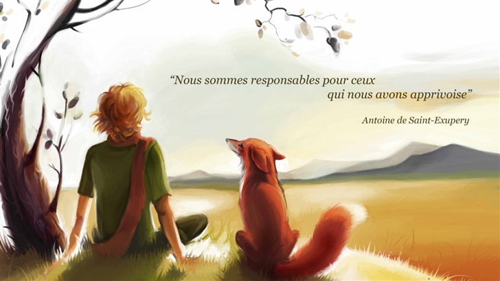 Antoine De Saint Exupery Quote Mac Wallpaper
