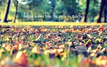Falling Leaves Hide The Path All Mac wallpaper