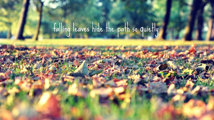 Falling Leaves Hide The Path Mac Wallpaper