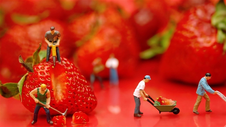 The Strawberries Mac Wallpaper