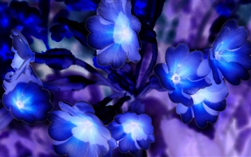 Glowing Flowers Inspired By Avatar All Mac wallpaper