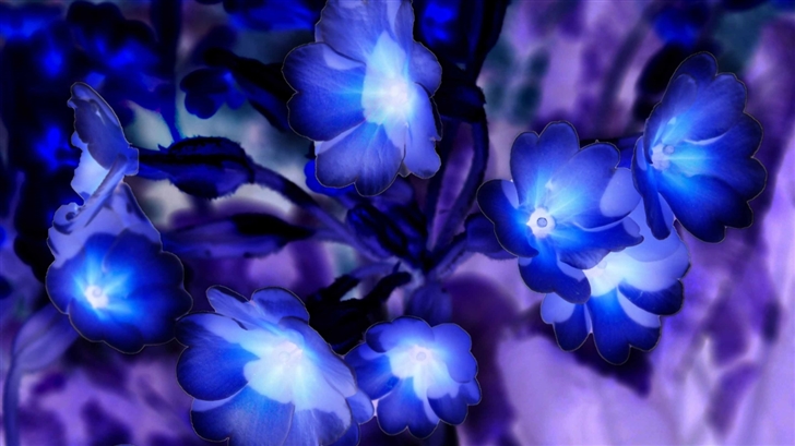 Glowing Flowers Inspired By Avatar Mac Wallpaper