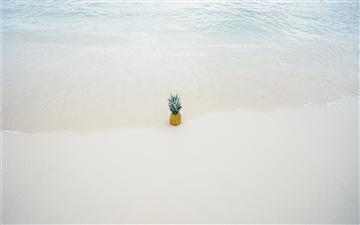 Pineapple in the beach sand MacBook Pro wallpaper