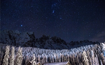 Night sky over a snowy forest All Mac wallpaper