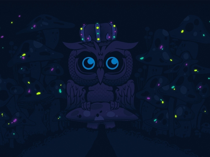 Imagine blue owls Mac Wallpaper