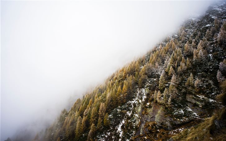 Fog over winter hillside Mac Wallpaper