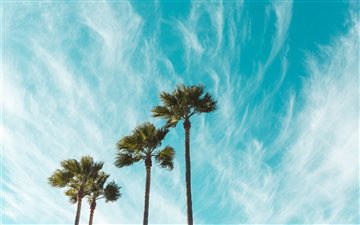 Windswept Skies All Mac wallpaper