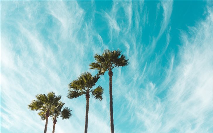 Windswept Skies Mac Wallpaper