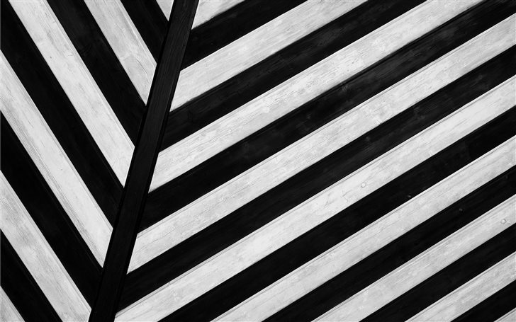 Zebra texture background Mac Wallpaper