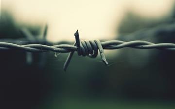 Barbed Wire All Mac wallpaper