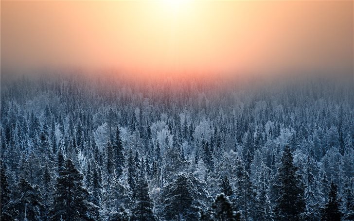 Winter sunset! Mac Wallpaper