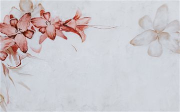 Flowers painted on a wall All Mac wallpaper