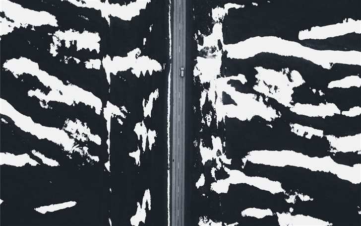 Zebra Mac Wallpaper