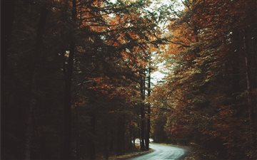 Pathway to Autumn All Mac wallpaper