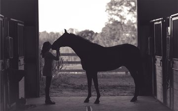 She loves her horse. iMac wallpaper