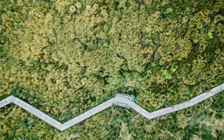 aerial photo of jungle Mac Wallpaper