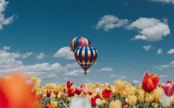 Balloon Over Tulips Mac Wallpaper