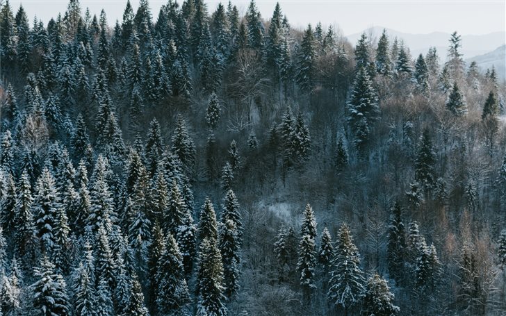 Winter wonderland Mac Wallpaper